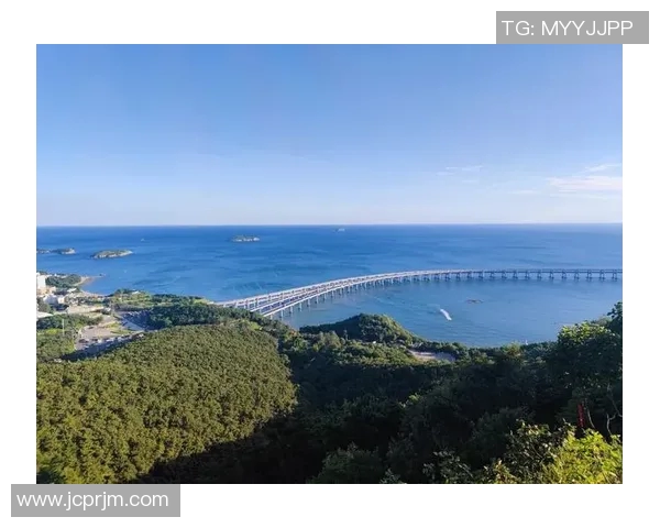 大连足球崛起之路探秘:从历史辉煌到未来展望的全景分析